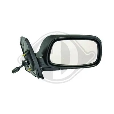 Exterior Mirror (6618024)