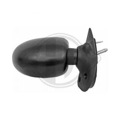 Exterior Mirror (4480024)