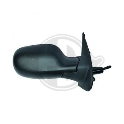 Exterior Mirror (6024025)