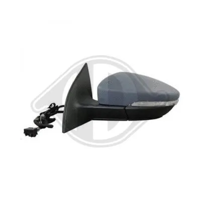 Exterior Mirror (2251124)