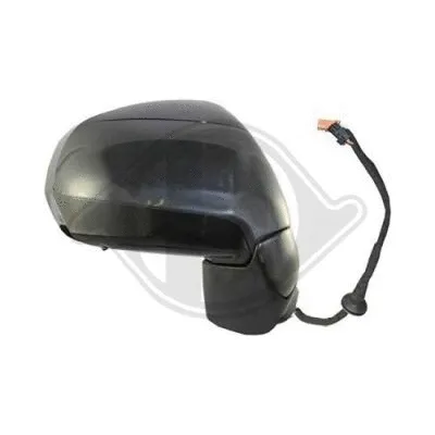 Exterior Mirror (4006624)