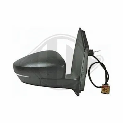 Exterior Mirror (2206024)