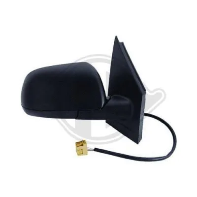 Exterior Mirror (2205224)