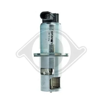 EGR Valve (1301013)