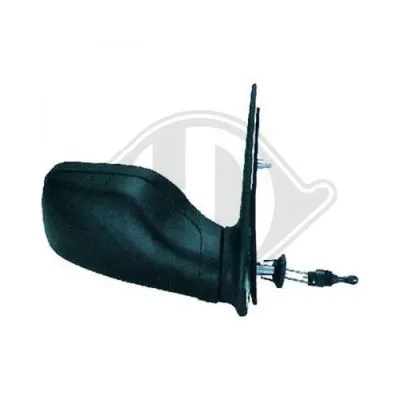 Exterior Mirror (4210024)