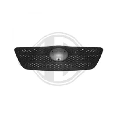 Radiator Grille (6618240)