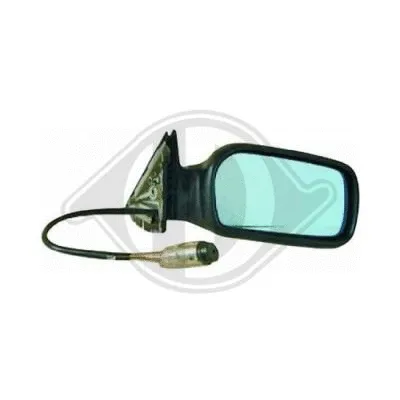 Exterior Mirror (1022024)