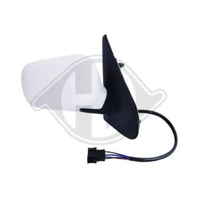 Exterior Mirror (2204224)