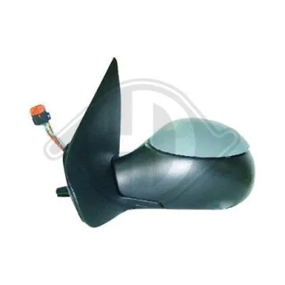 Exterior Mirror (4225225)