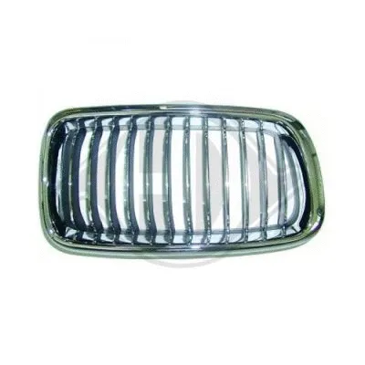 Radiator Grille (1242145)