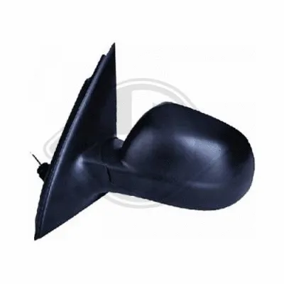 Exterior Mirror (2208024)
