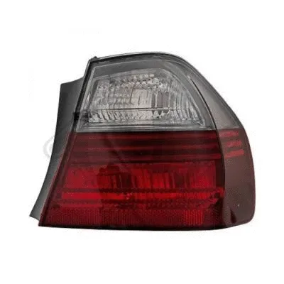 Tail Light Assembly (1216094)