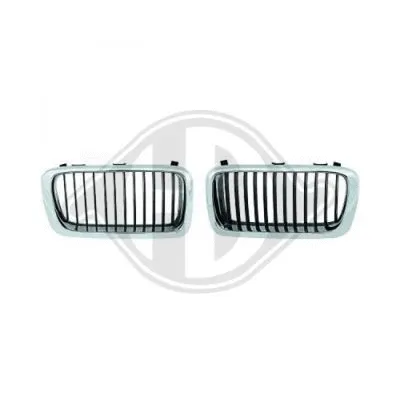 Radiator Grille (1242040)