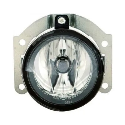 Front Fog Light (5882888)