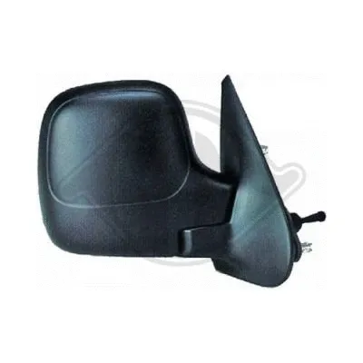 Exterior Mirror (4011724)