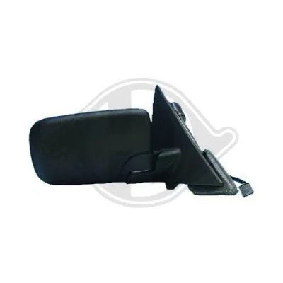 Exterior Mirror (1214324)