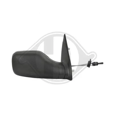 Exterior Mirror (4210124)