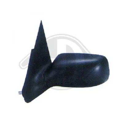 Exterior Mirror (1425124)