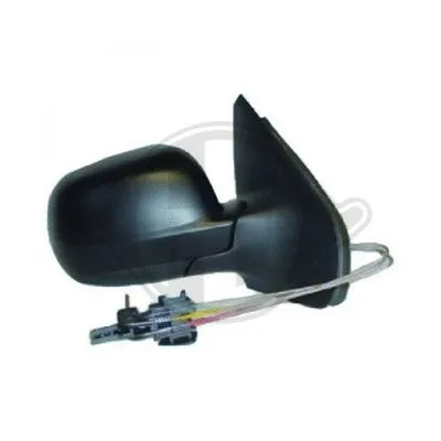 Exterior Mirror (2204025)