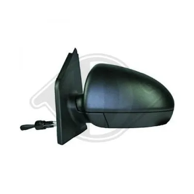 Exterior Mirror (1606024)