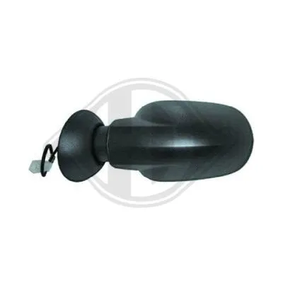 Exterior Mirror (4420224)