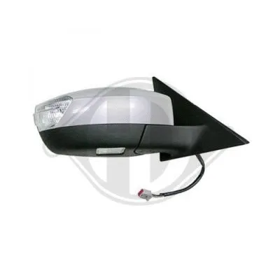 Exterior Mirror (1491227)