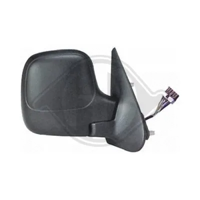 Exterior Mirror (4011824)