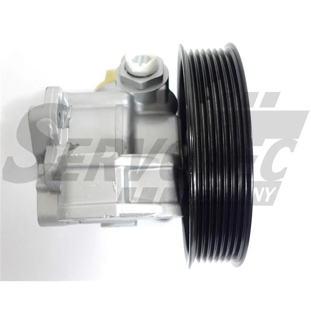 Hydraulic Pump, steering (STSP4201)