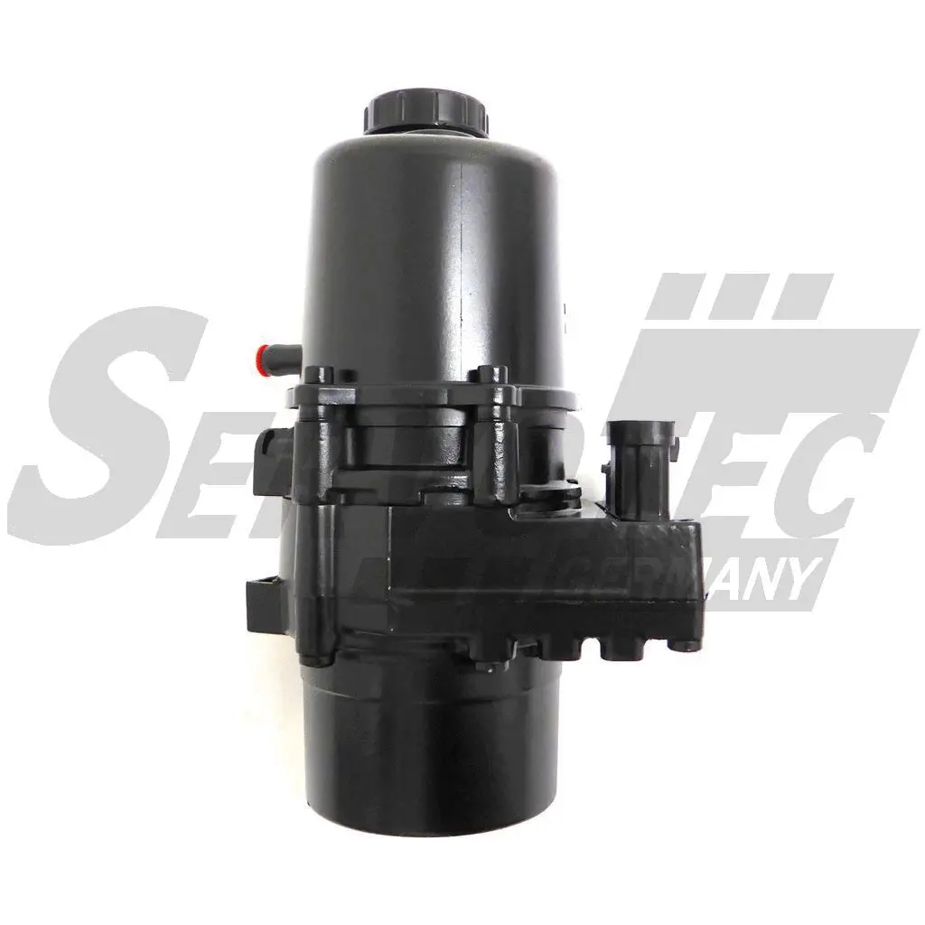 Hydraulic Pump, steering (STEP300)