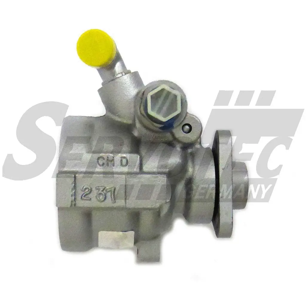 Hydraulic Pump, steering (STSP3844)