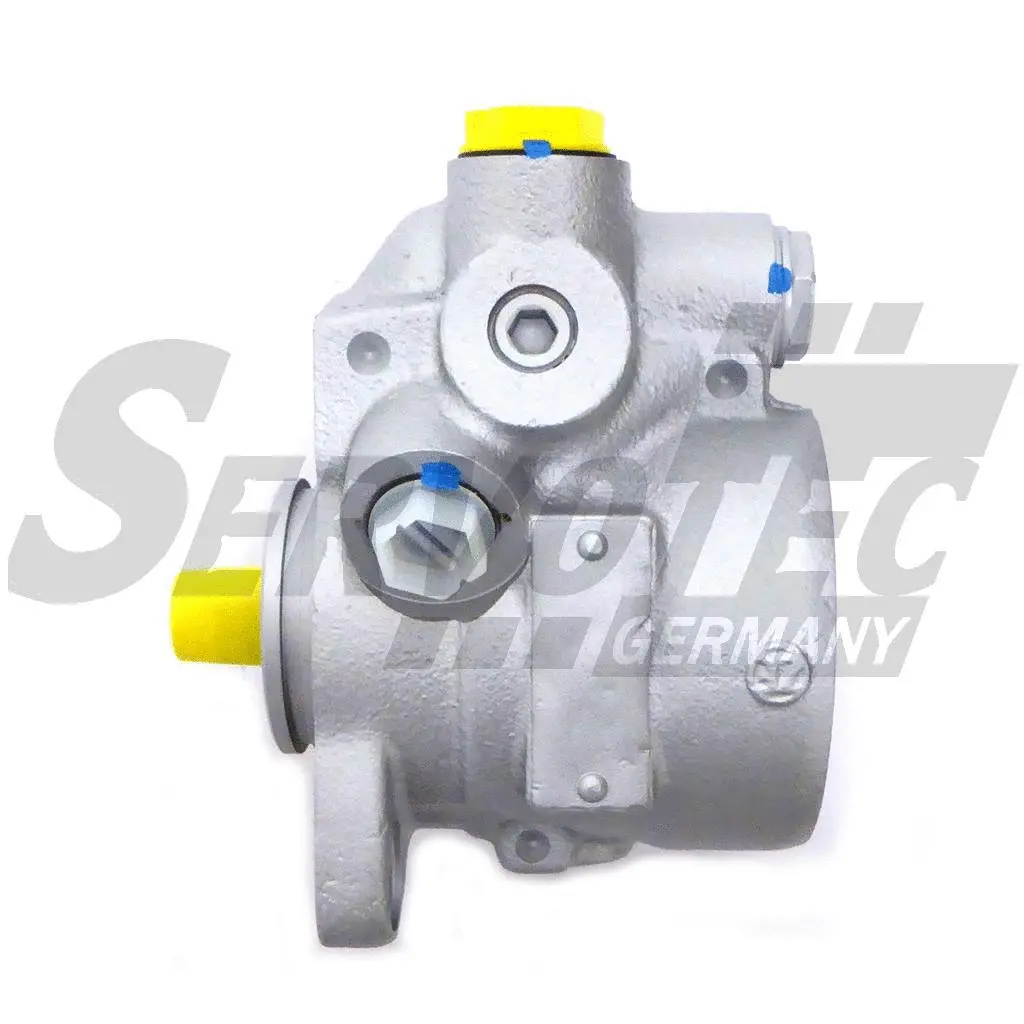 Hydraulic Pump, steering (STSP193)