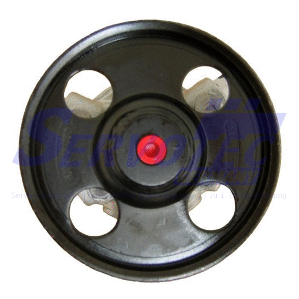 Hydraulic Pump, steering (STSPF4C)