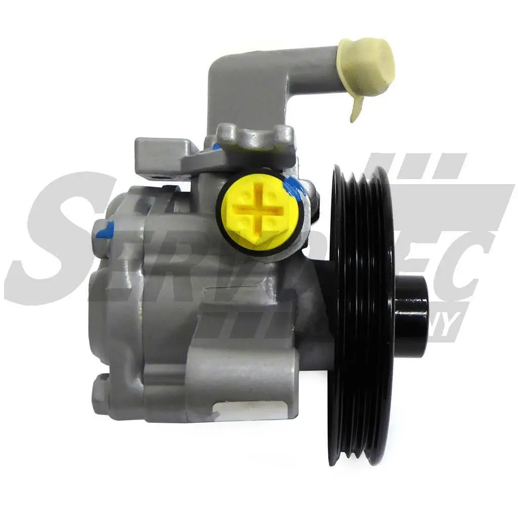 Hydraulic Pump, steering (STSP5084)