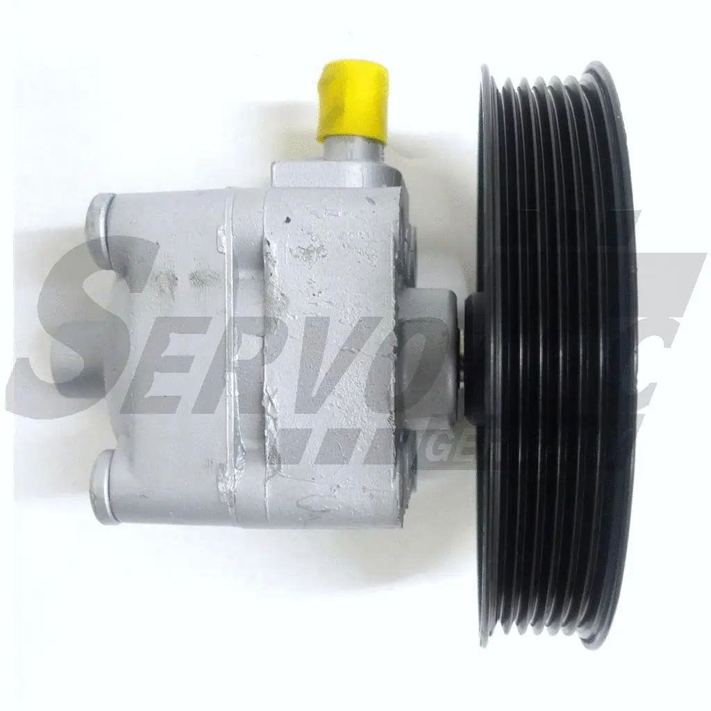 Hydraulic Pump, steering (STSP3053)