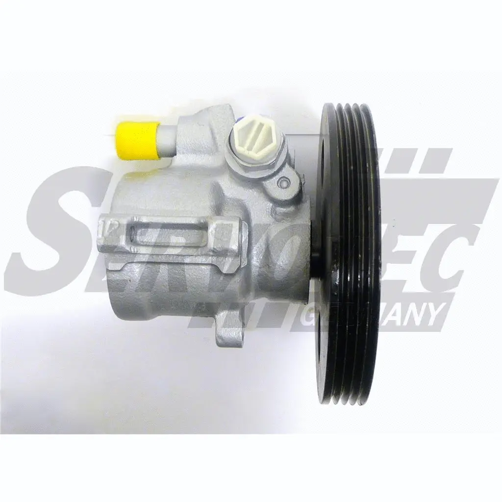 Hydraulic Pump, steering (STSP5391)