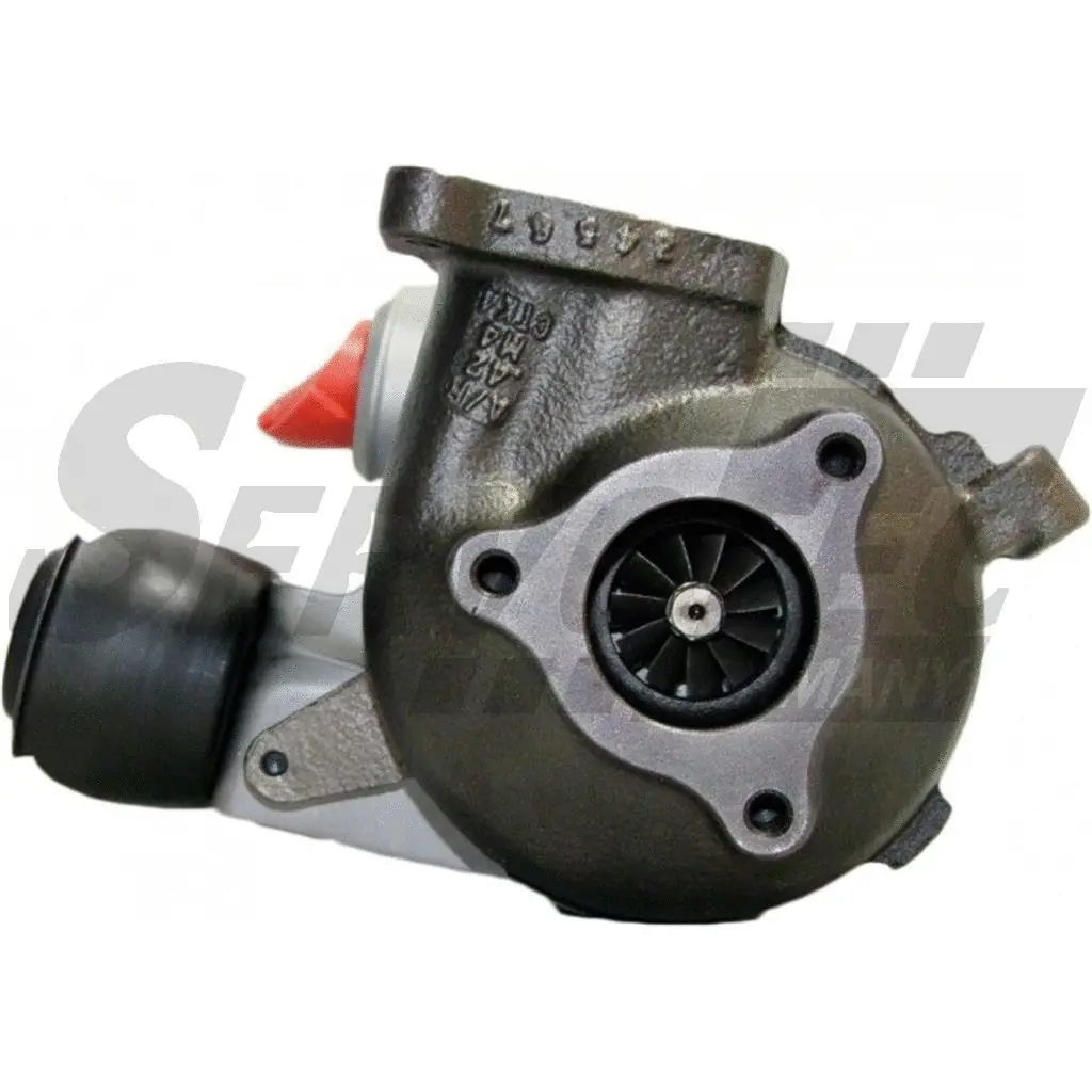 Charger, charging (supercharged/turbocharged)