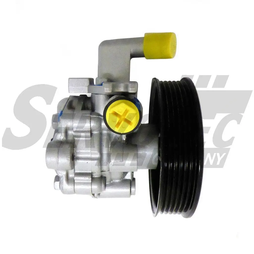 Hydraulic Pump, steering (STSP5083)