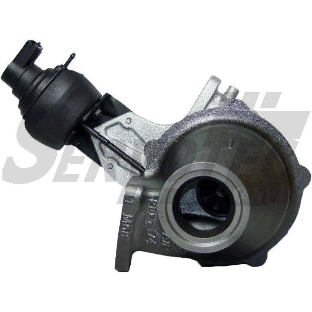 Charger, charging (supercharged/turbocharged)