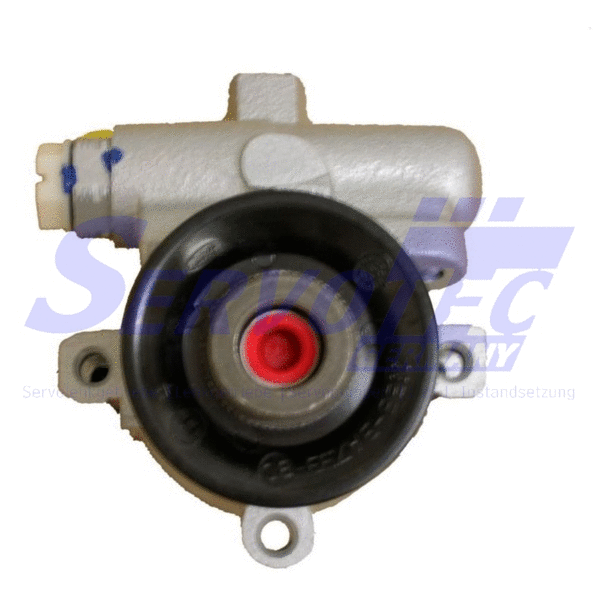 Hydraulic Pump, steering (STSP4269)