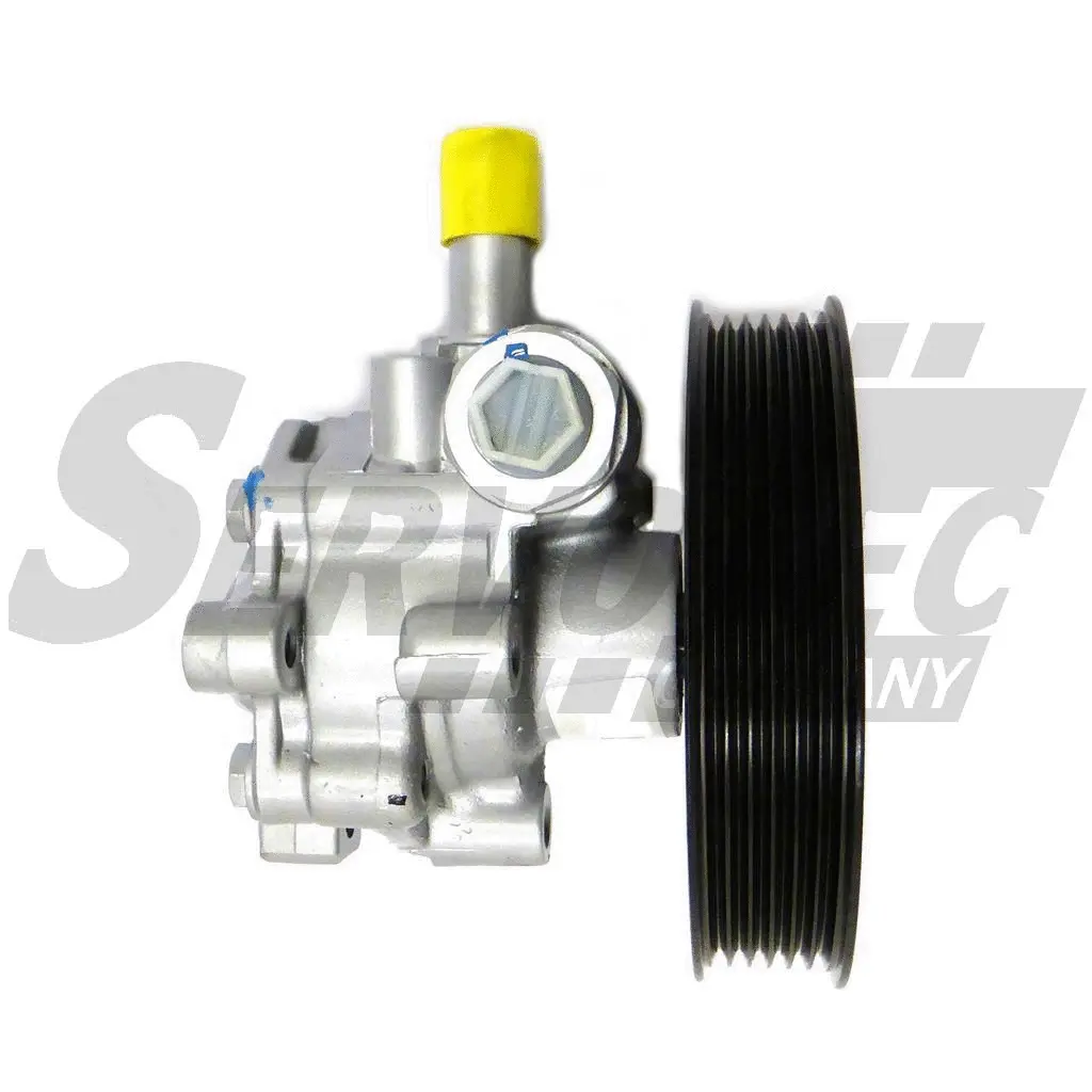 Hydraulic Pump, steering (STSP5046)