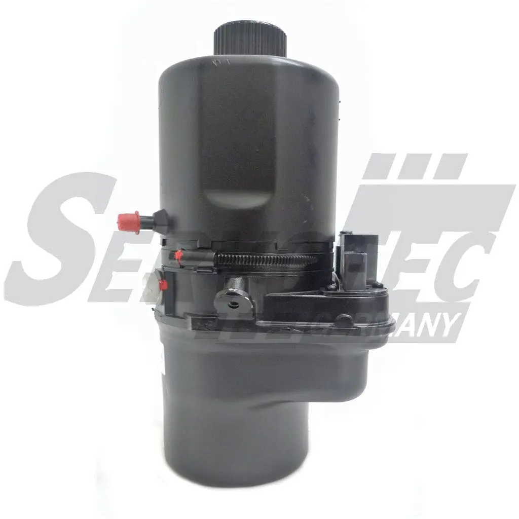 Hydraulic Pump, steering (STEP108)
