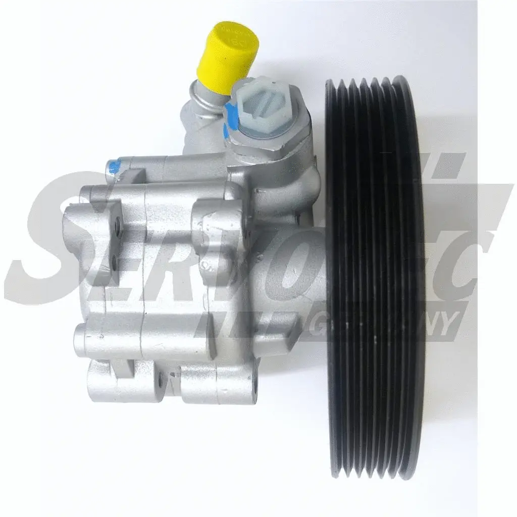 Hydraulic Pump, steering (STSP8002)