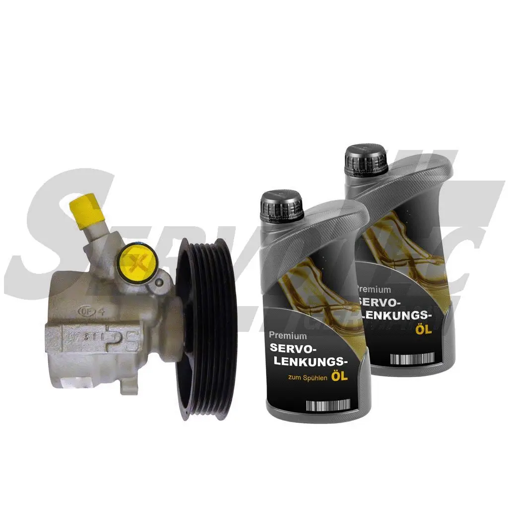 Hydraulic Pump, steering (STSP810)