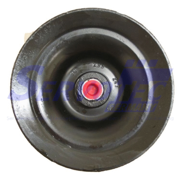 Hydraulic Pump, steering (STSP260)