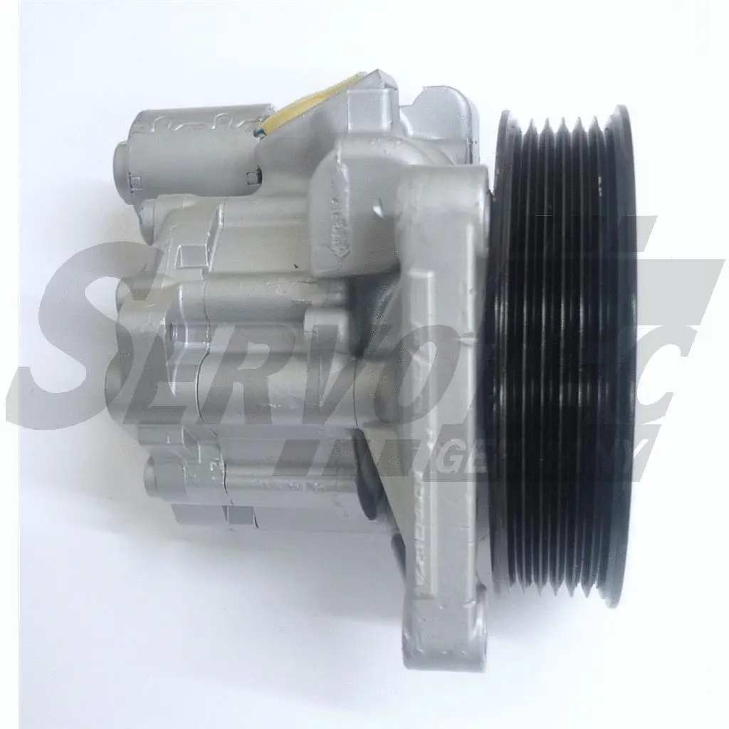 Hydraulic Pump, steering (STSPW639)