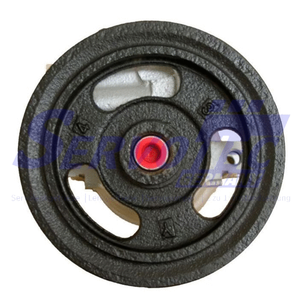 Hydraulic Pump, steering (STSP310)