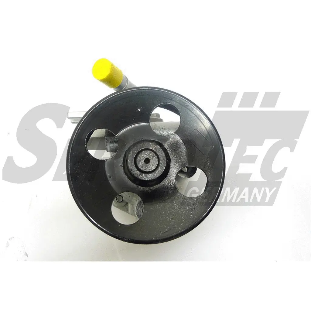 Hydraulic Pump, steering (STSP0606)