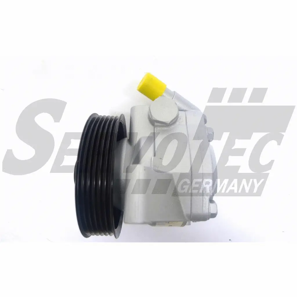 Hydraulic Pump, steering (STSP3798)