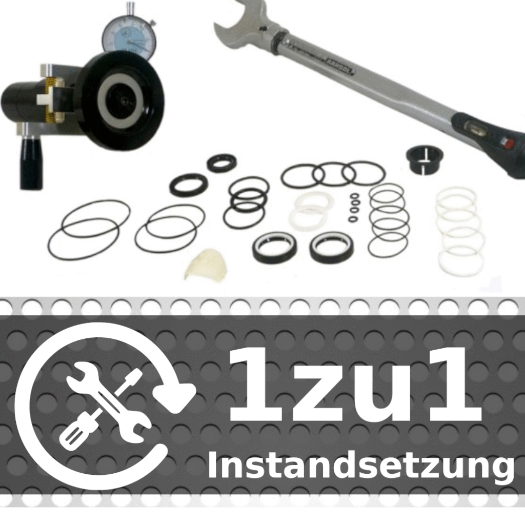 Steering Gear (STSR1372LREP)