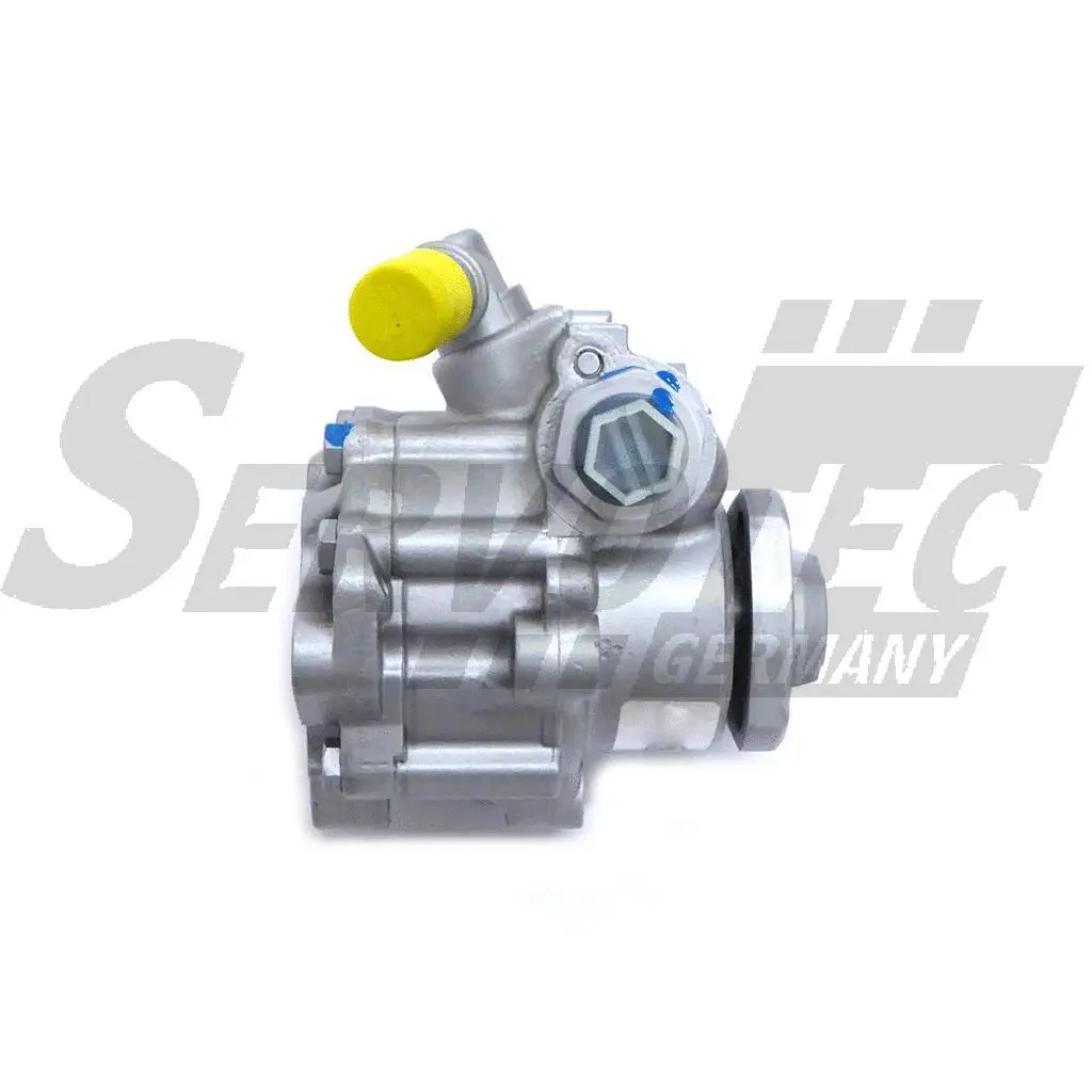 Hydraulic Pump, steering (STSP2155)